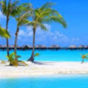 Meet your Posher, Haylie